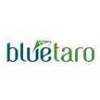 Blue Taro Logo