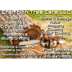 CHAMPION TREE CARE LLC