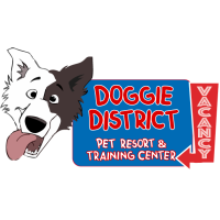 Doggie District - Paradise Valley Logo