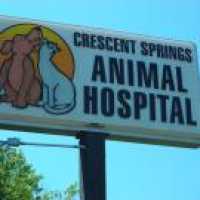 Crescent Springs Animal Hospital Logo