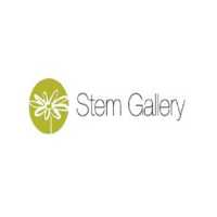 Stem Gallery Logo