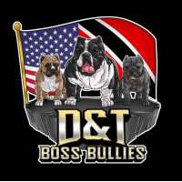 D&T Boss Bullies Logo