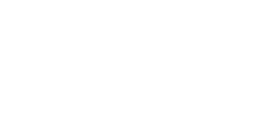 Aroos Flowers