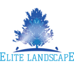 Elite Landscape Lighting