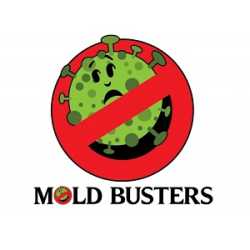 Mold Busters Fort Worth