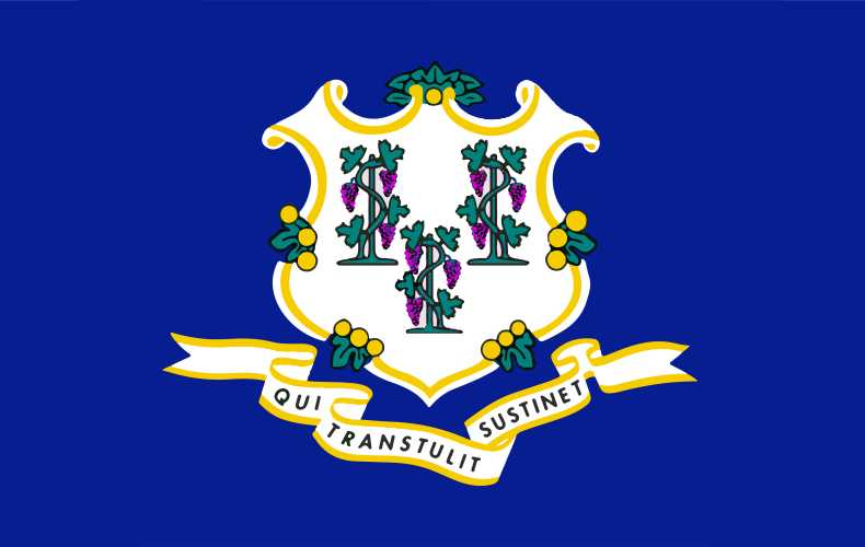 Connecticut Business License