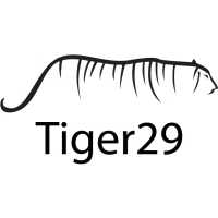 Tiger29 - Sioux Falls SEO Logo
