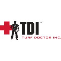 TDI Services Logo