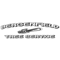 Bergenfield Tree Service Logo