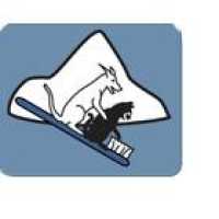 Windsor Veterinary & Dental: Waugh Sandy L DVM Logo