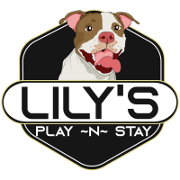 Lily's Play-N-Stay Logo