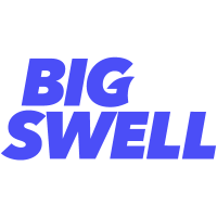 Big Swell Logo