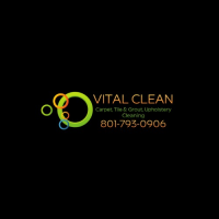 Vital Clean carpet cleaning Logo