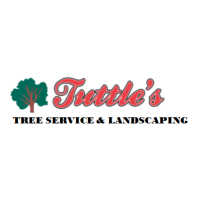 Tuttle Tree Removal Logo