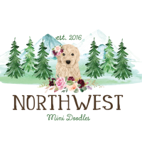 Northwest Mini Doodles Logo