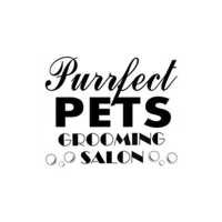 Purrfect Pets Grooming Salon Logo