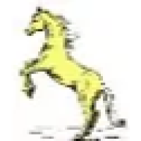 Adventure Horse Riding in NYS Logo