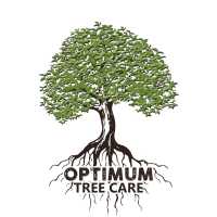 Optimum Tree Care Logo