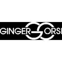 Ginger Orsi - Realtor Logo
