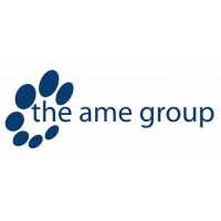 The AME Group Logo
