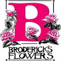 Broderick's Flowers Logo
