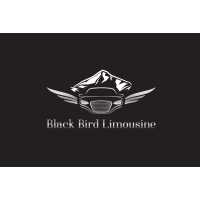 Black Bird Limousine Logo
