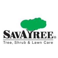 SavATree - Tree Service & Lawn Care Logo