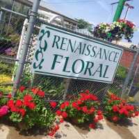 Renaissance Floral Gallery Logo