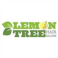 Lemon Tree Hair Salon Bohemia Logo