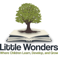 Little Wonders Learning Centers Logo
