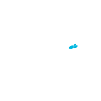 Blue Springs Boat Company Logo