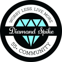 Diamond Spike 55+ Jill Spiker Logo