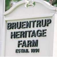 Bruentrup Heritage Farm Logo