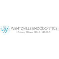 Wentzville Endodontics Logo