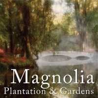 Magnolia Plantation Logo