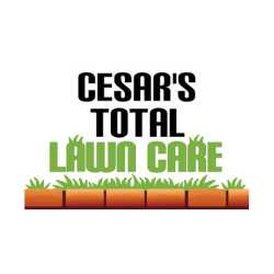 Cesar's Total Lawn Care