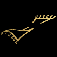 Turkish Rug Co Logo