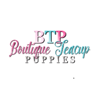 Pomeranian Puppies, Boutique Logo