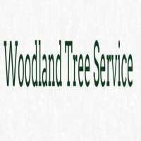 Woodland Tree Service Logo