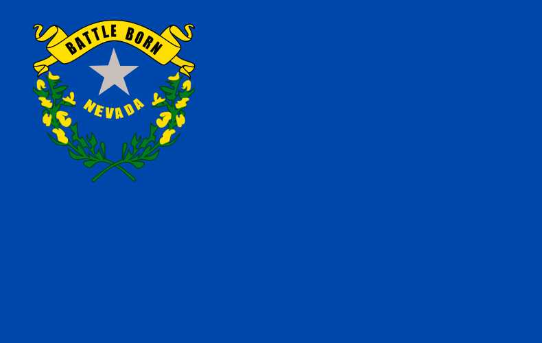 Nevada Business License