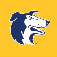 Dog Guard of Seattle Logo