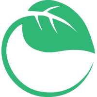 Sustainable Digital Logo