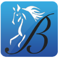 Bridlewood Insurance Logo