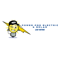 Power Pro Electric Logo
