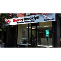 Heart of Brooklyn Veterinary Hospital - Flatbush Logo