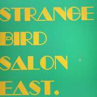 Strange Bird Salon Logo