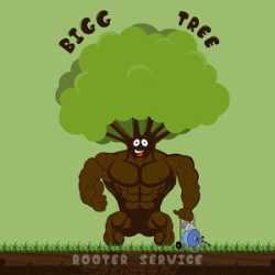 Bigg Tree Rooter & Plumbing