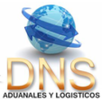 DNS Aduanales y Logisticos Logo