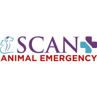 Specialists in Companion Animal Neurology (SCAN) - Clearwater Logo