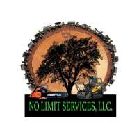 No Limit Services Logo